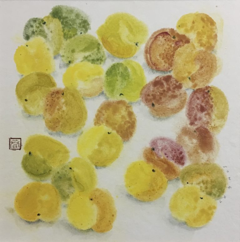 Xiaojun Song