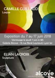 Exposition, Lyon, temporaire