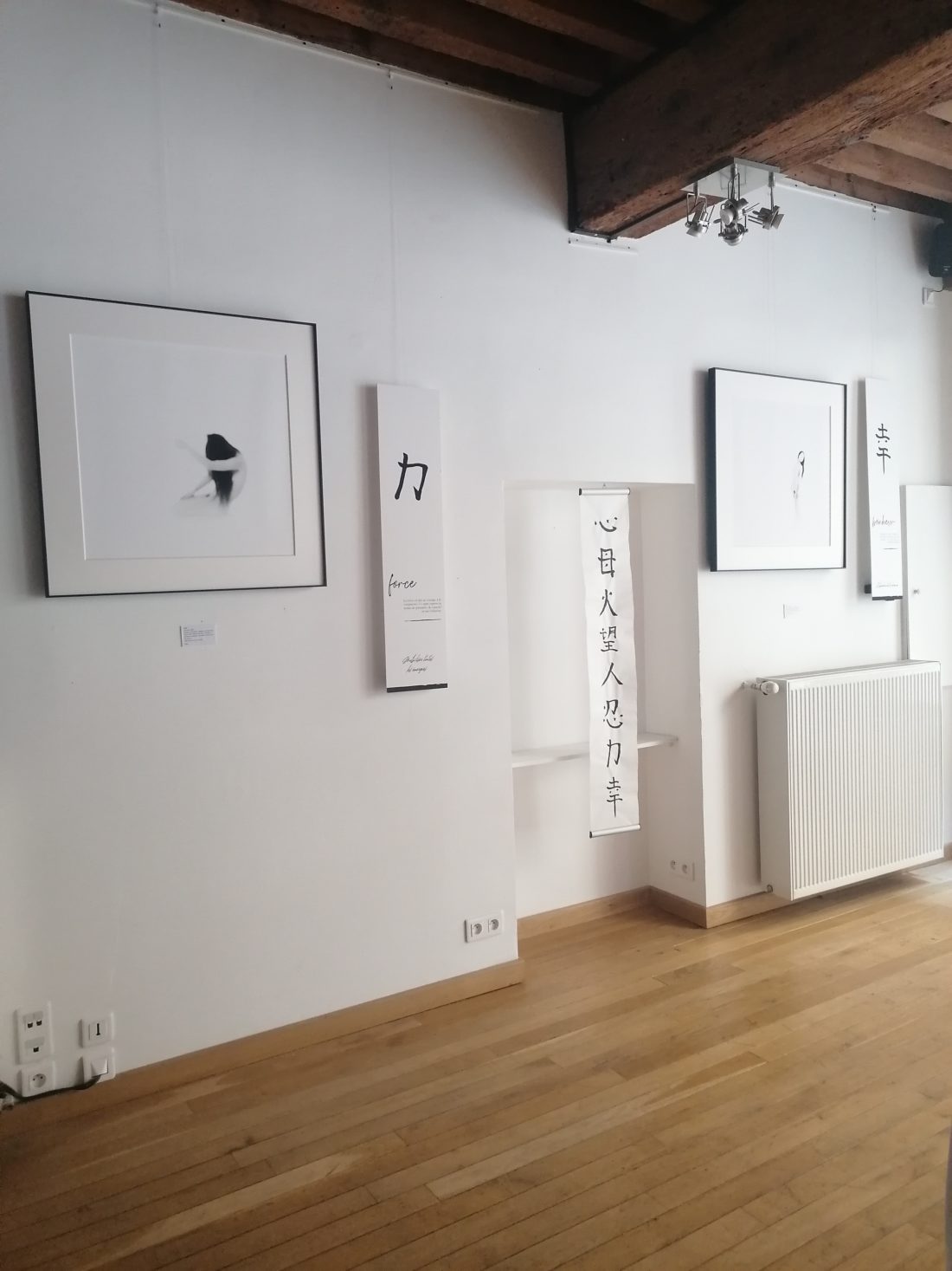 Exposition Infinie de Draz